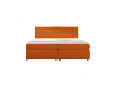 Lova 160 BOX SPRING CONTI 2